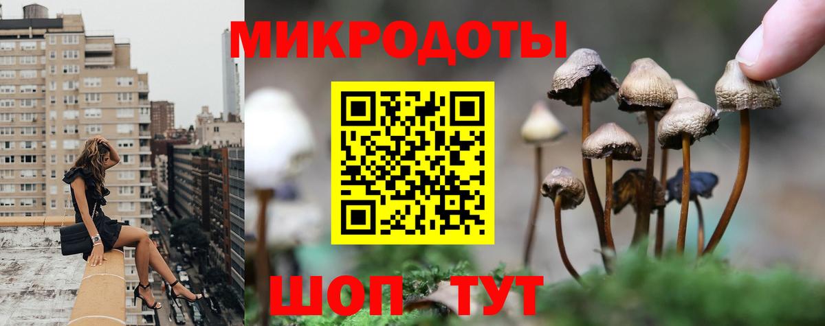 Галлюциногенные грибы MAGIC MUSHROOMS Алатырь