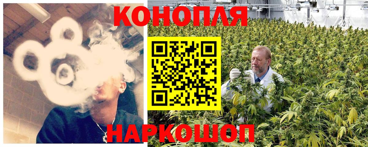Каннабис гибрид Алатырь